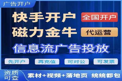 竞价广告的投放技巧与网络推广的实践